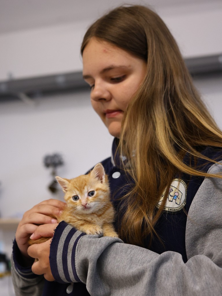 Przychodnia Weterynaryjna Medivet — zdjęcie 10
