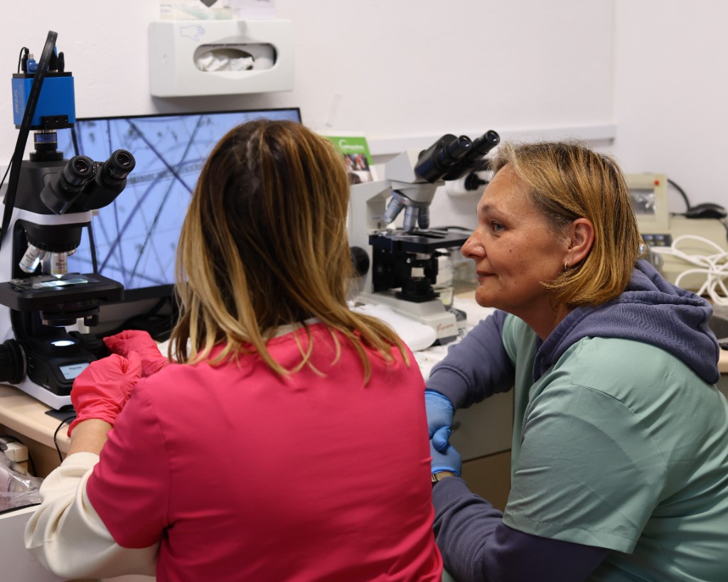Przychodnia Weterynaryjna Medivet — zdjęcie 12